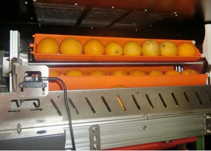 Fruto Juice Vending Machine 800W do mercado negro para laranjas Apple