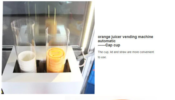 CE 1500W automático da máquina de venda automática alaranjada fresca do Juicer habilitado