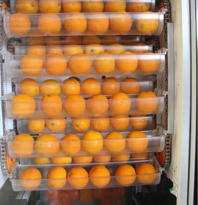 Auto fruto Juice Vending Machine alaranjado fresco 1000W para a loja do supermercado