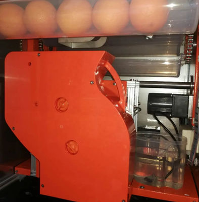 Juice Machine alaranjado vendendo fresco automático 800W WD-ORANGE