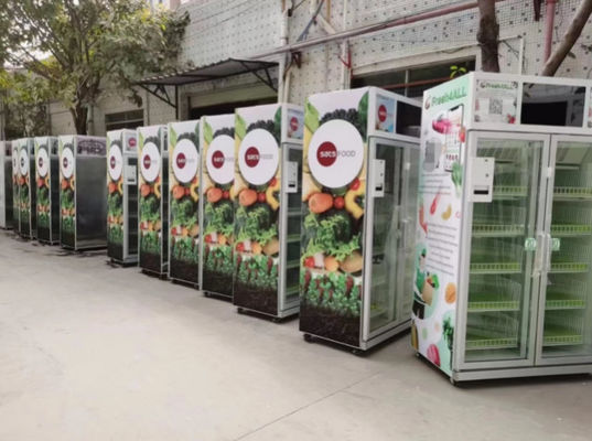 Juice Vending Machine Electric automático alaranjado 24 horas de serviço 110V do auto - 220V