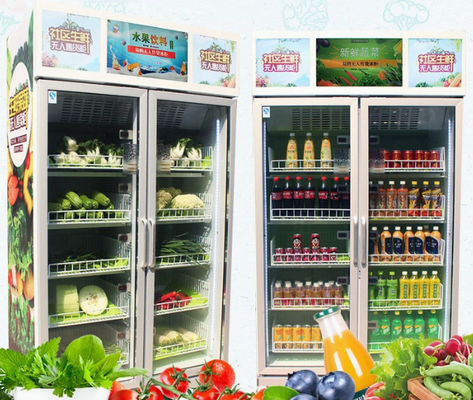 Juice Vending Machine Electric automático alaranjado 24 horas de serviço 110V do auto - 220V
