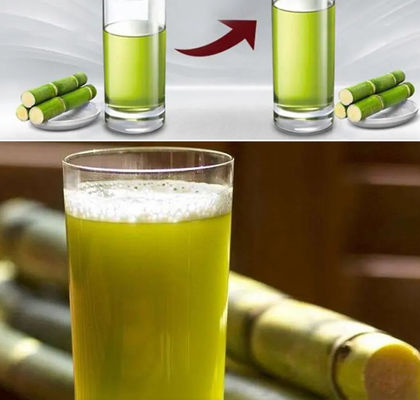 cana-de-açúcar Juice Machine Commercial de 800kg/H Sugar Cane Squeezer 380V 50Hz